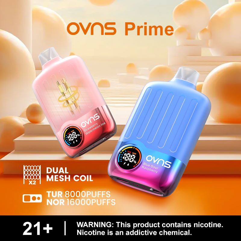 Vaina De Vape Del Sabor De La Fruta De 16000 Soplos Vaina De Vape Del Sabor De La Fruta De 16000 Soplos